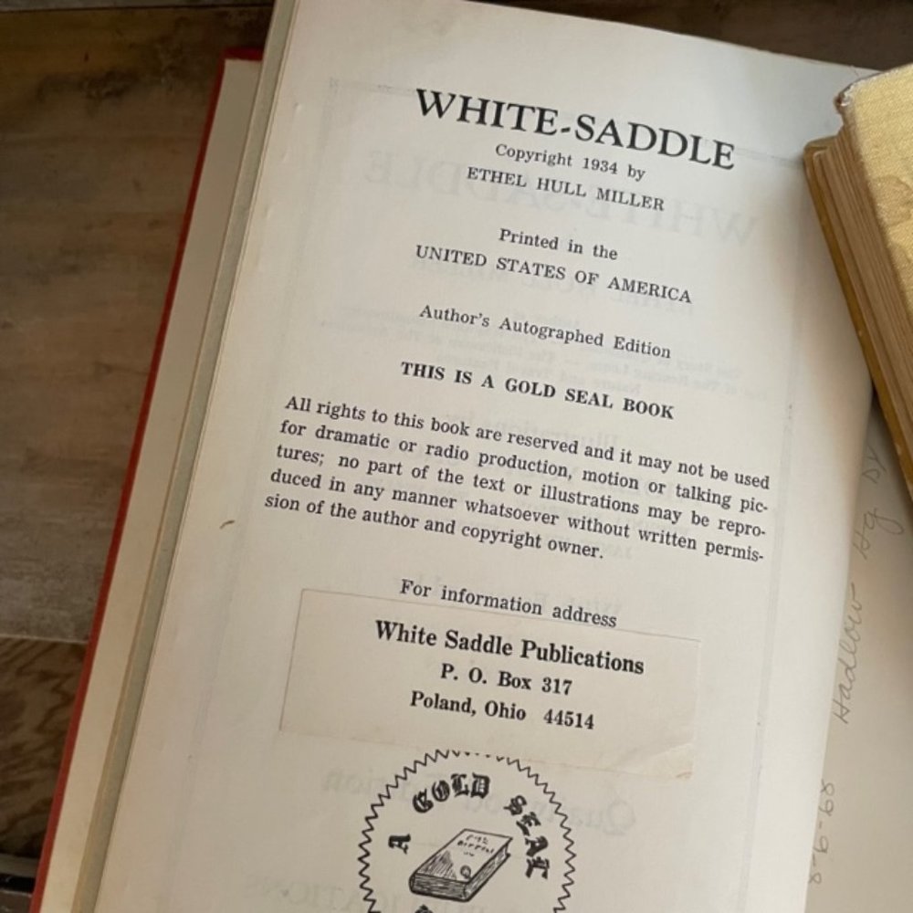 RARE Antique Vintage 1934 Horse Book White-Saddle Collectors Hard Copy - Picture 2 of 12